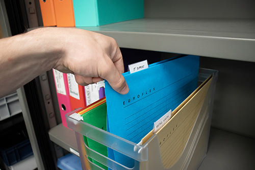 Organización del documentos