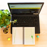 Atlanta Things To Do Jungle, Medium, 100% Papel Reciclado, FSC®