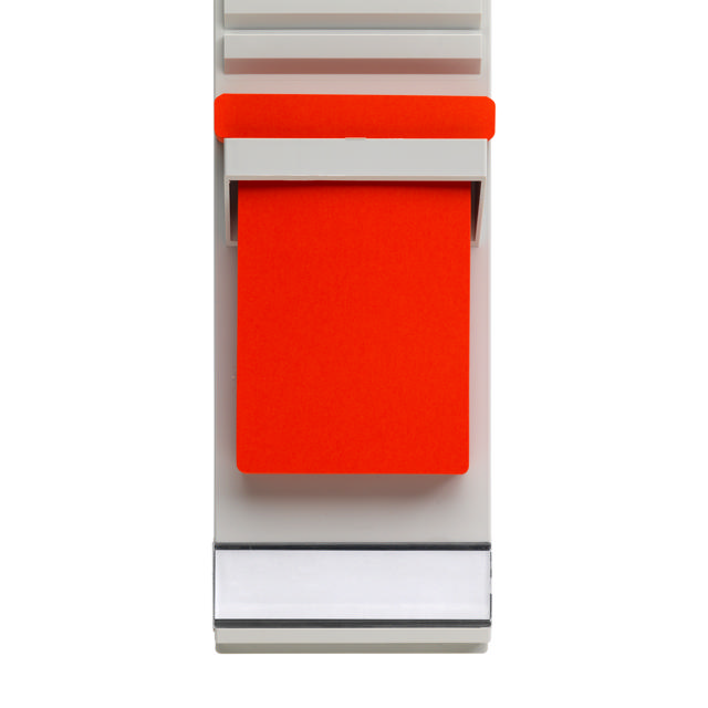 Titular de Tarjeta T, Formato 3