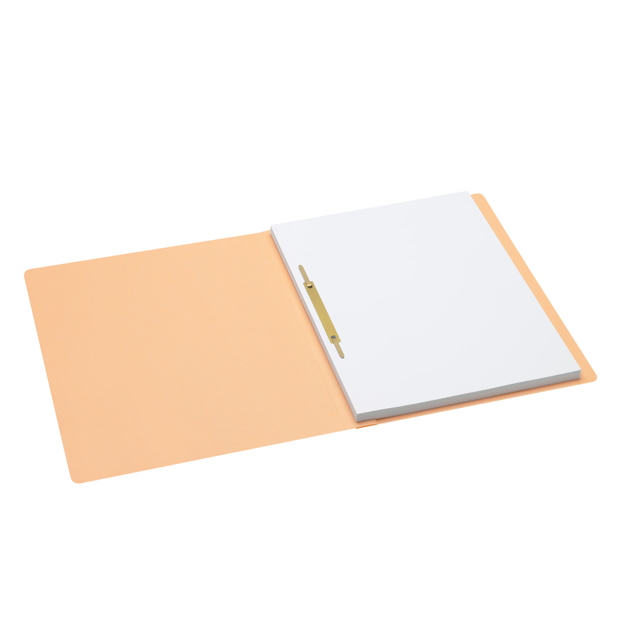 Secolor Carpeta fástener, A4, 100% cartón reciclado, FSC® 