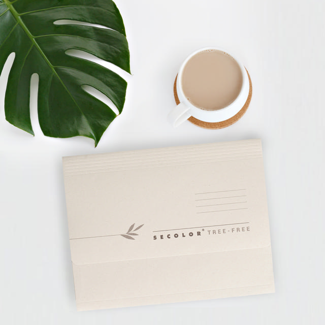 Carpeta con fuelle Tree-free, Folio
